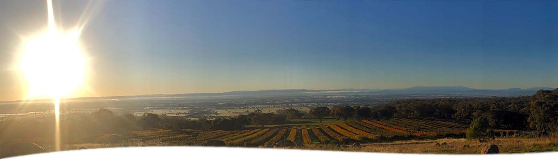 warby range cherry orchard